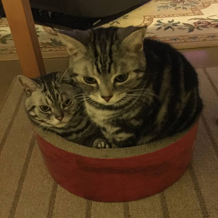 0126641b e453 416b 87ca eb916f89f66a