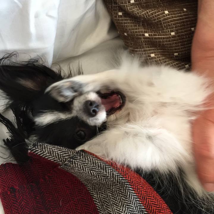 0126c326 b271 4911 ad9e 8ea0049d5ab2