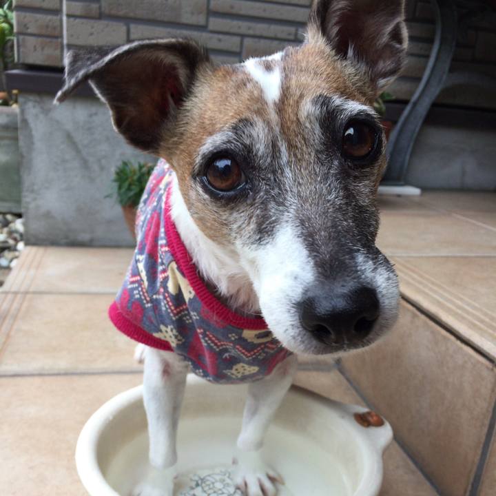 0127163a 9e1f 404f 9c5d bd84b9990392