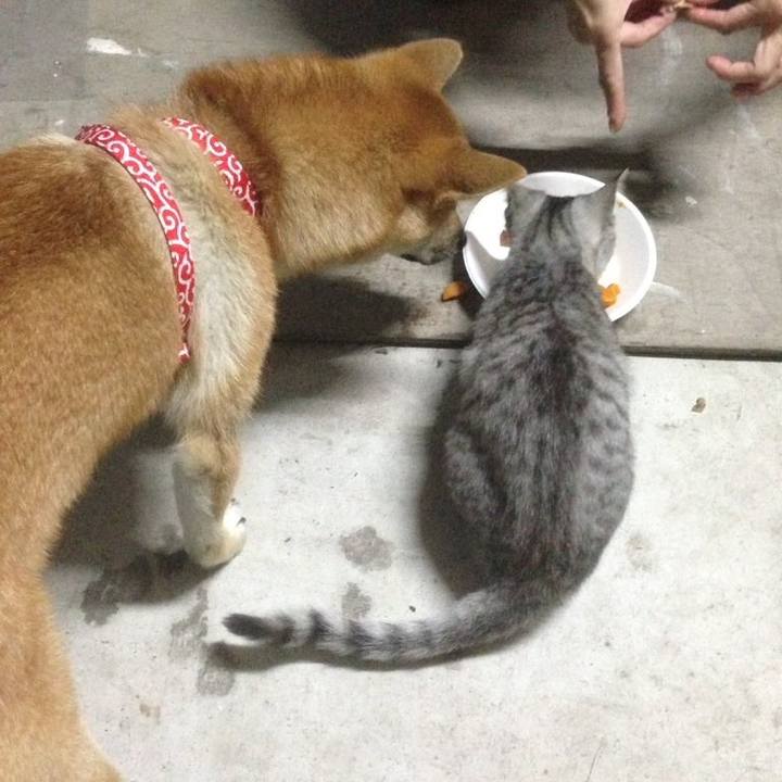 01273600 9902 41cc 8ac1 6ff53df93944