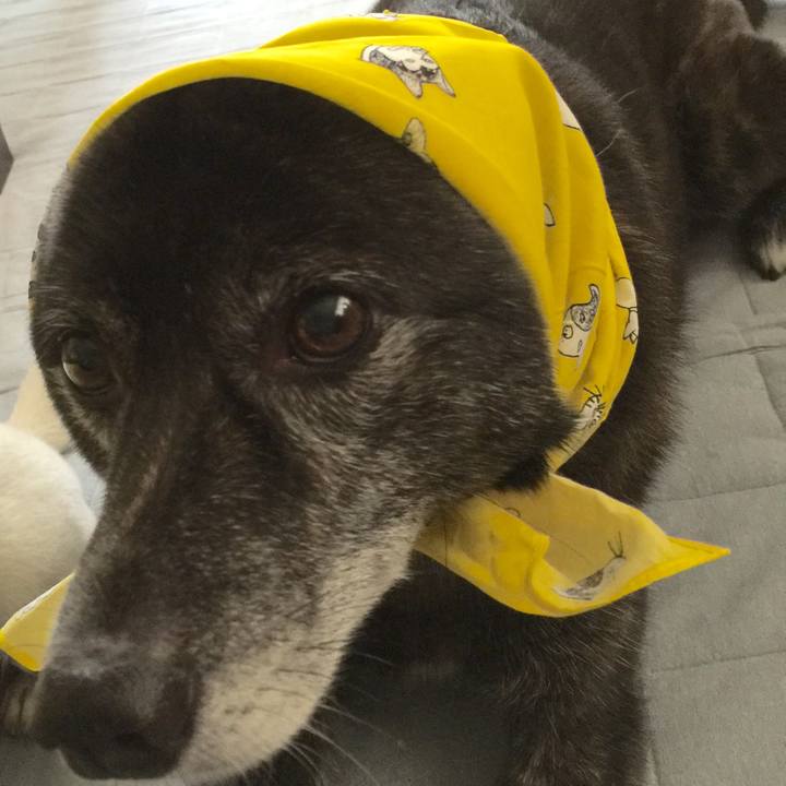 01273d0f b08a 43ce 81d2 400476bb2445