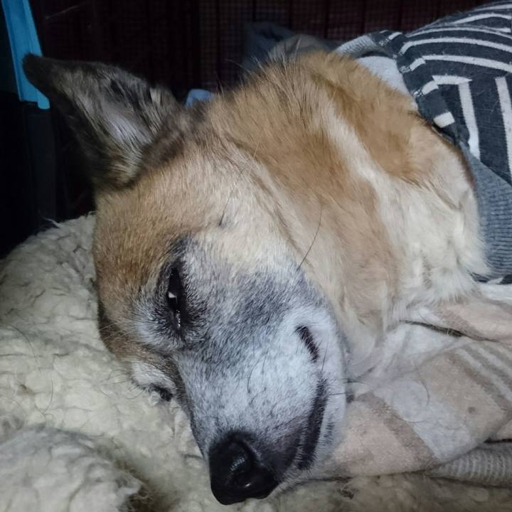 0127fd2e 7190 46c2 aa1e b246d6741a30