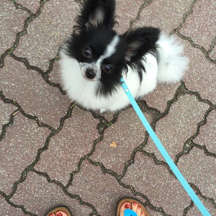 01288abd a440 4362 9bbc 7449a2b4e299