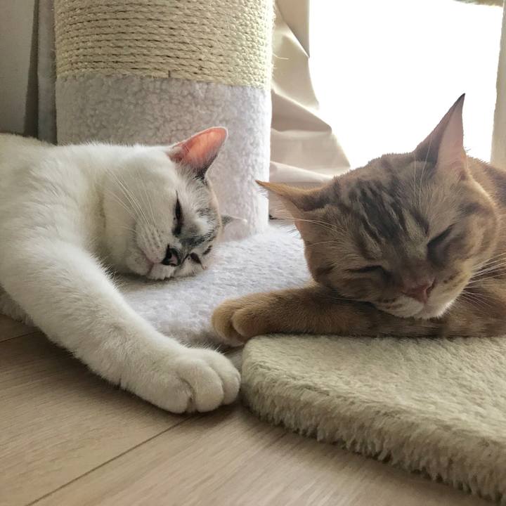 0128af05 012d 4a48 b760 f78e660eef21