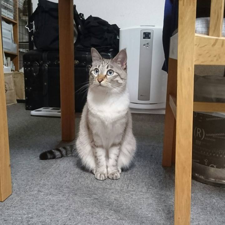 01290aea 4122 4f1b bb4d 43a5477943b9