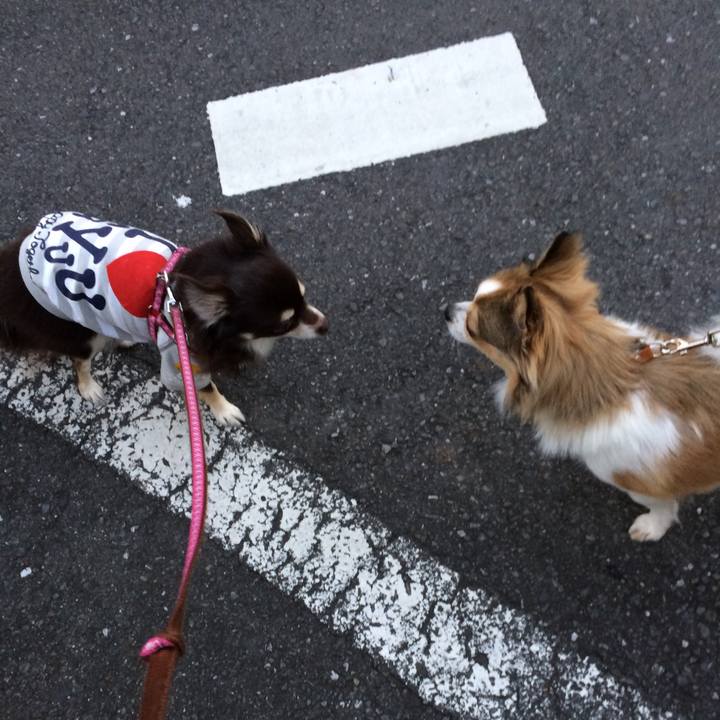 01292c37 98fc 4deb 981e a2ad85a519a2