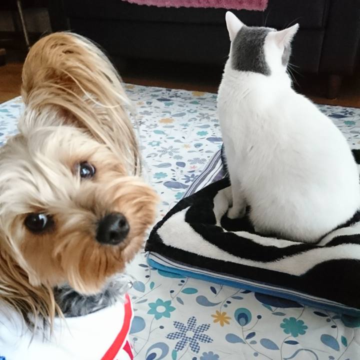 01294608 9eda 4949 9ca5 ba9e05d3ddd8