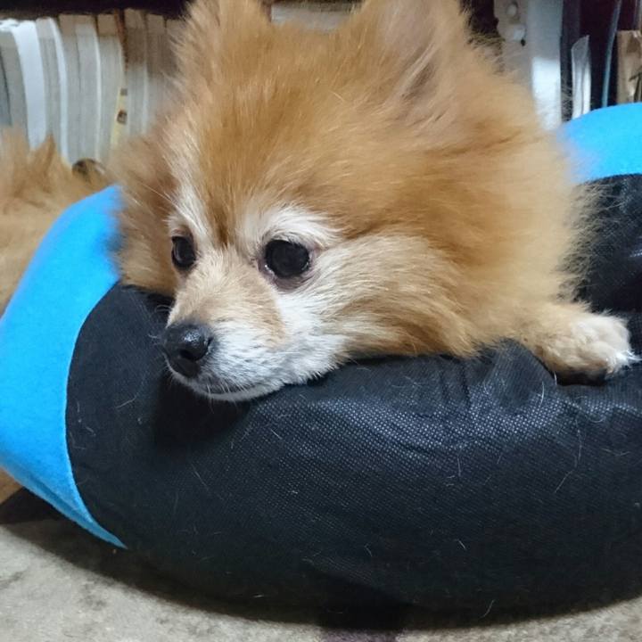 0129ba98 71c4 4590 a9e7 bf8424133386