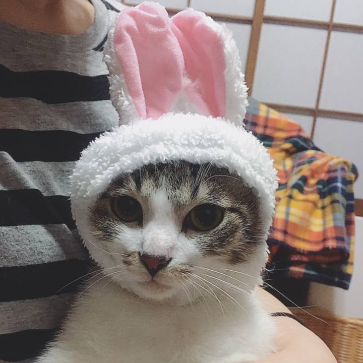 0129cad1 3cf5 437e 948f 26f9d6edbabf