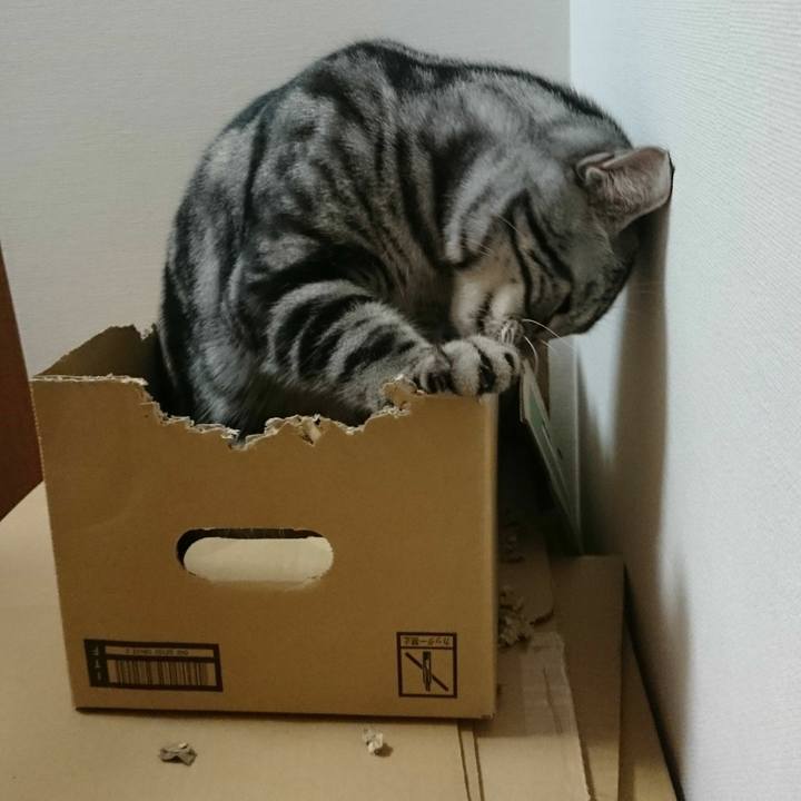 0129e1d8 9793 473e a1db 84aebfa4c082