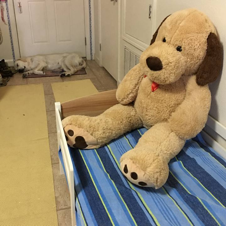 012a6b63 8047 4c12 b71c e9771165c5a1