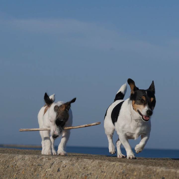 012abd3e 8a1d 4d50 a3f2 4abf8aabf277