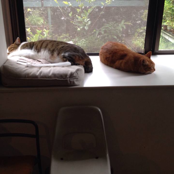 012b1531 a032 4f52 8779 d483830884d9