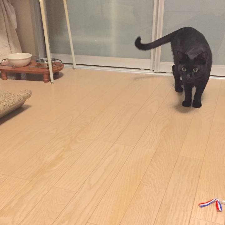 012b30cf 5942 469e b4e1 f44029cd536f