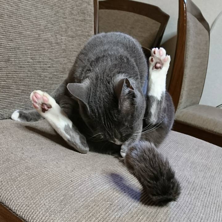 012b4cd2 1a9e 4cdf b843 1cd73788d1f1