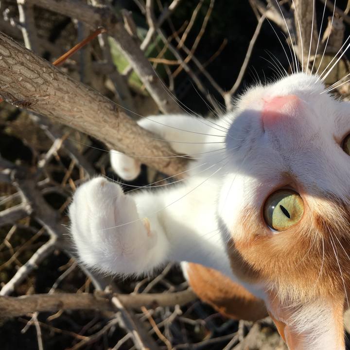 012c7e01 507b 4f4d 8b81 f5460e4cb028