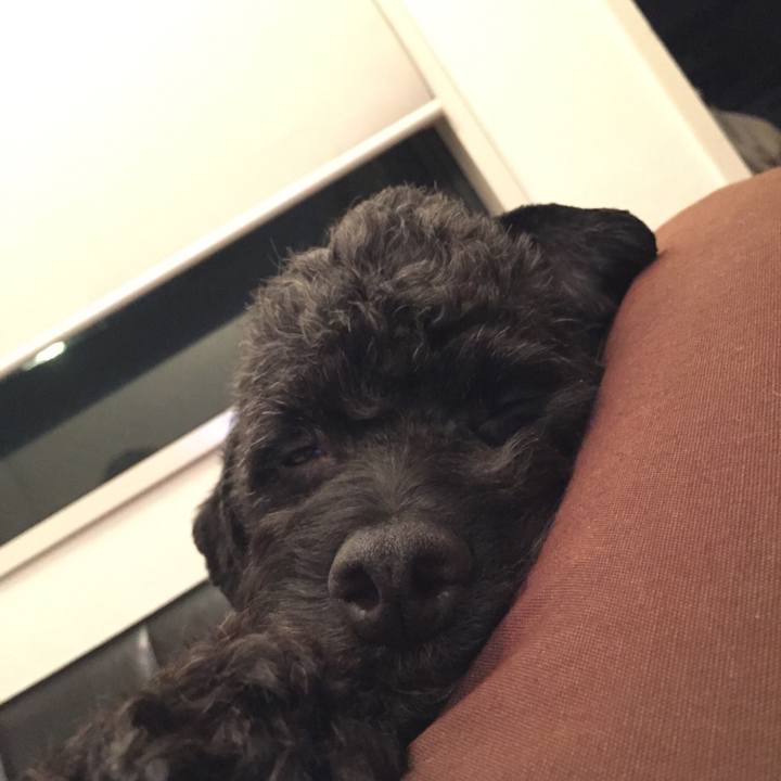 012cdc72 927a 4348 908e f96b3031fa56