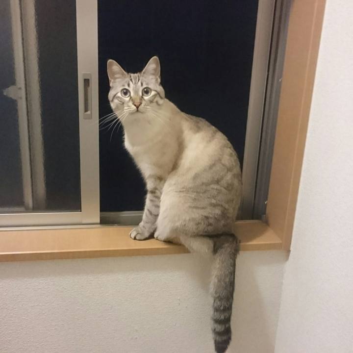 012d513d fea9 4334 83f2 39d28d28f697