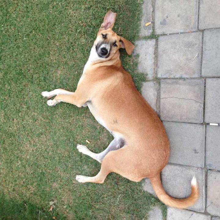 012d6e98 ed53 4612 8647 a90c3d1545d3