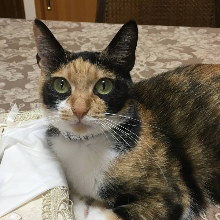 012d84a9 20ba 4454 bfee 3fac1ee4c58d