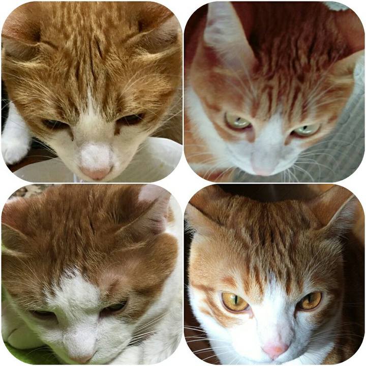 012dba85 5f65 484f 86ed d6ec3d1a1fb1