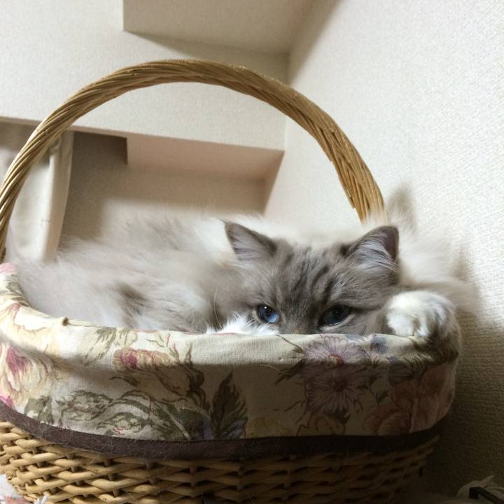 012dc731 cb38 45f2 8e7d 3f6137bcc342