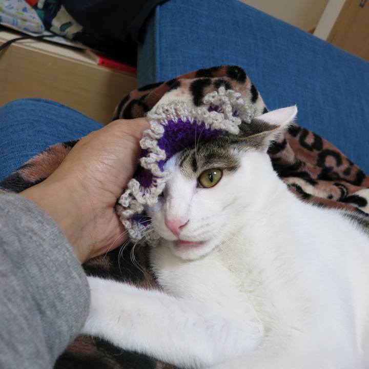 012e36b8 9048 47f6 9d57 fb455c07bee4