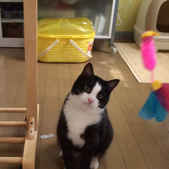 012ee04c 13fe 41f4 bd48 36c0ff3c5963