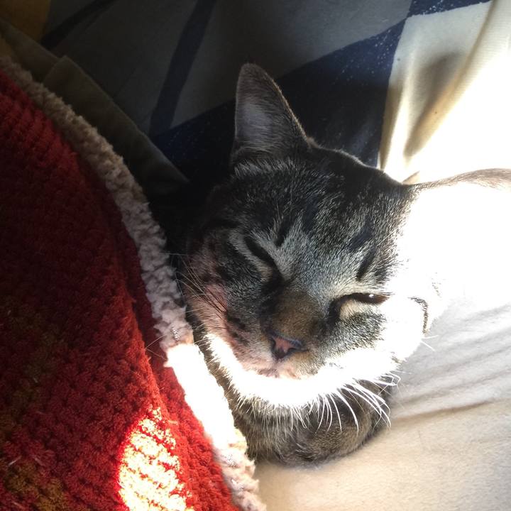 012fdf27 80b4 4ee5 ab65 c7ad2e555112