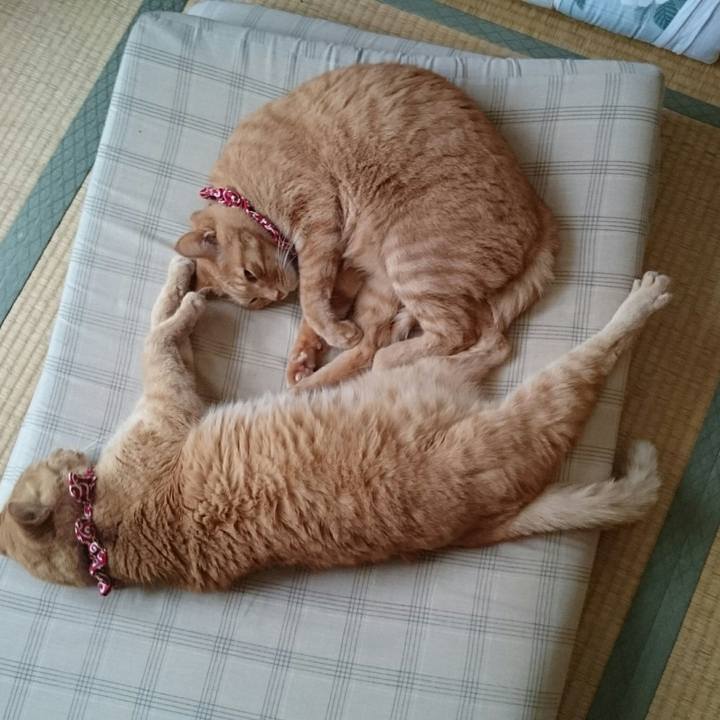 013018fb 2b3b 4918 a433 3f0b0bd30237