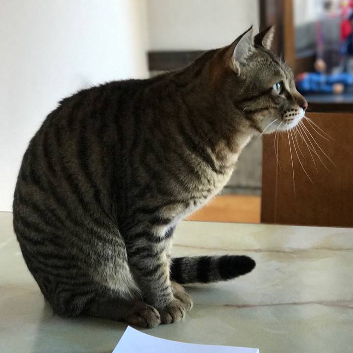 0130c0dc 5d9d 423d 8aa3 553ae2e9b89c