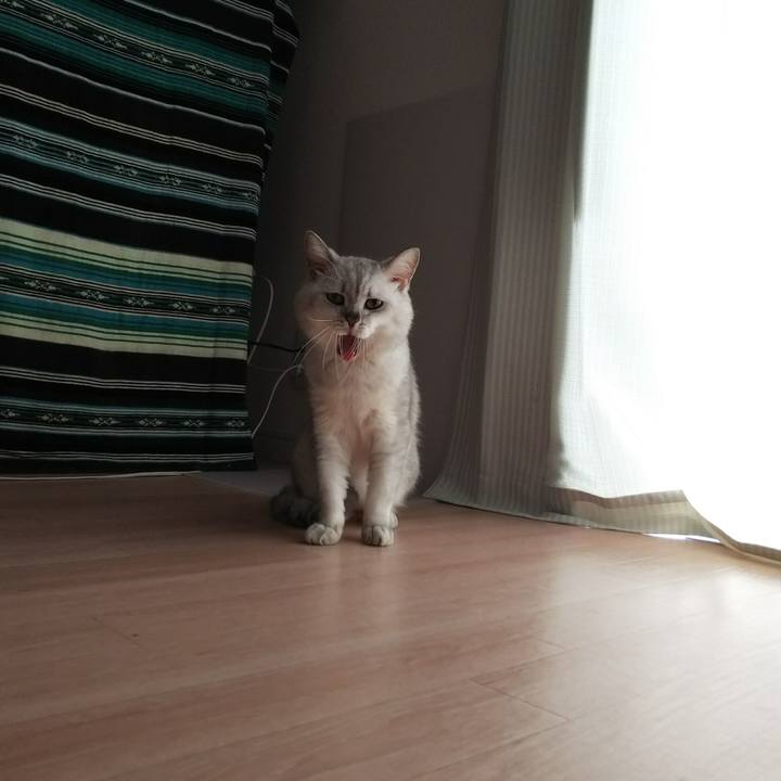 0130d484 5c99 491a 8896 c1f4a96232fa