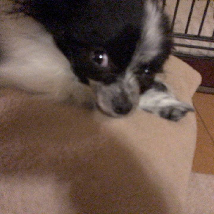 01311b9b de08 454a bf87 5370cd097d08