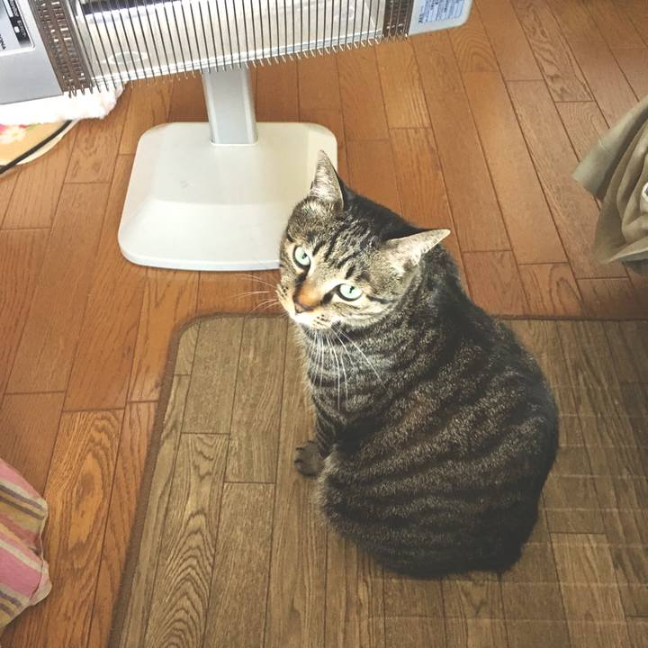 01313061 0e60 47ef b36f 8ecc149fe584