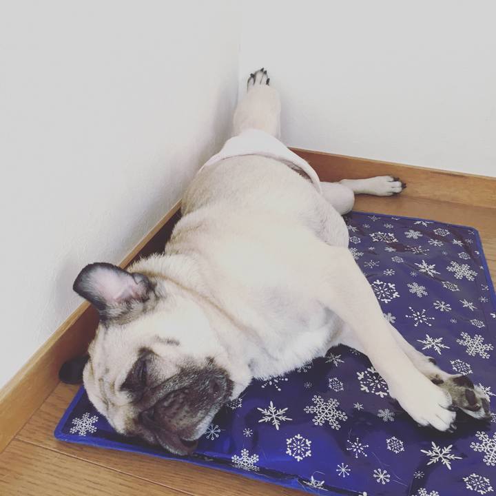 01318006 ad89 4798 a80b 9a4060eb835f