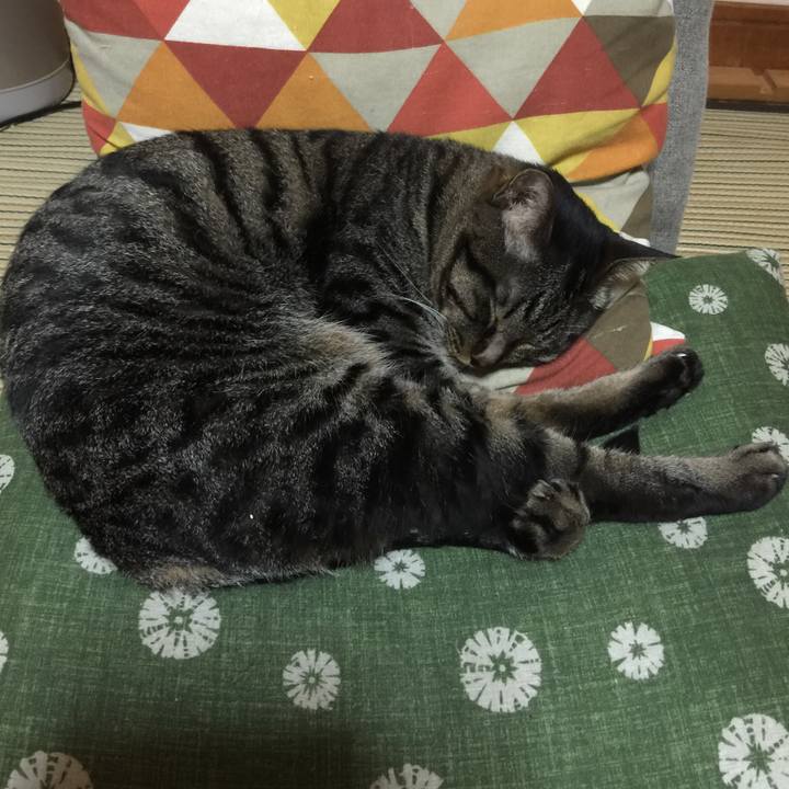 01319a14 fe39 4c59 8142 478f58124e80