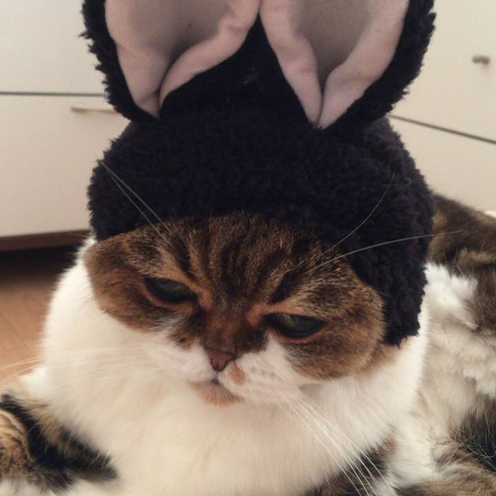 0131a9ff 2c96 4fd2 a894 bc0975aa3206