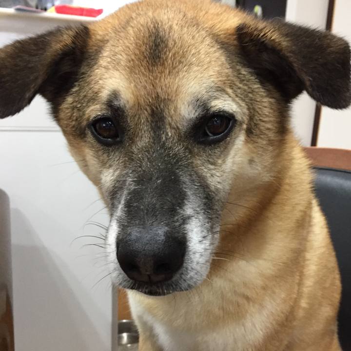 0131c655 23bd 4e6d 91a4 24938299885f