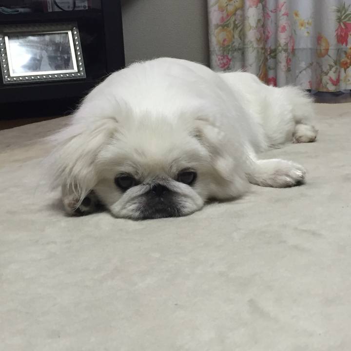 01320400 94c9 415e 90f3 36c668efb874