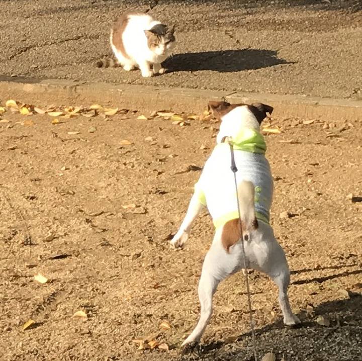 013222b5 da64 4b95 b21b 2795cc9c5d5d