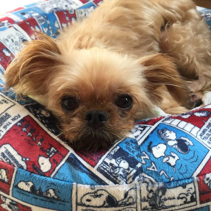 013295da f485 4e0f 8850 3eee0884b08f