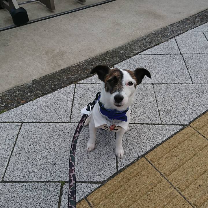 01329a99 830f 42a2 990c cc57a49c5796