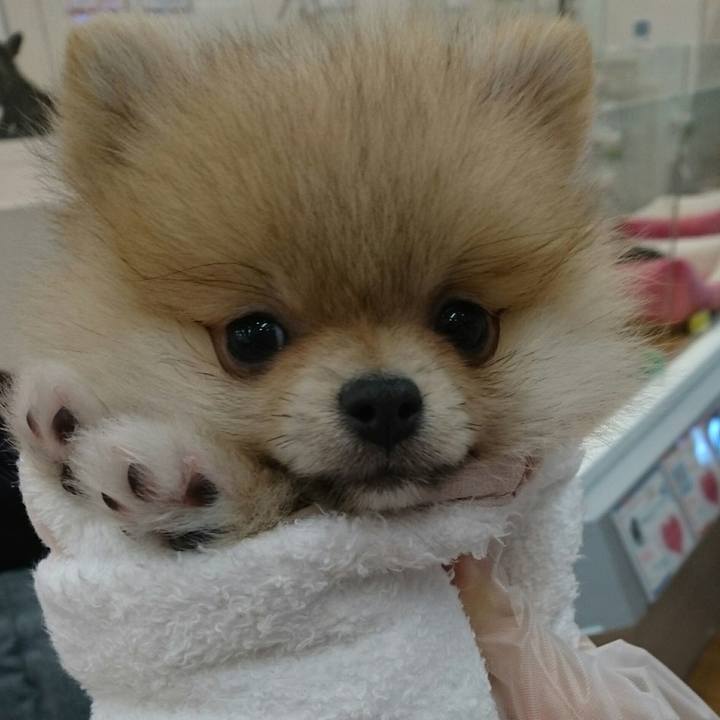 01335100 53e4 4aca 961b 6b6aea8a6acf