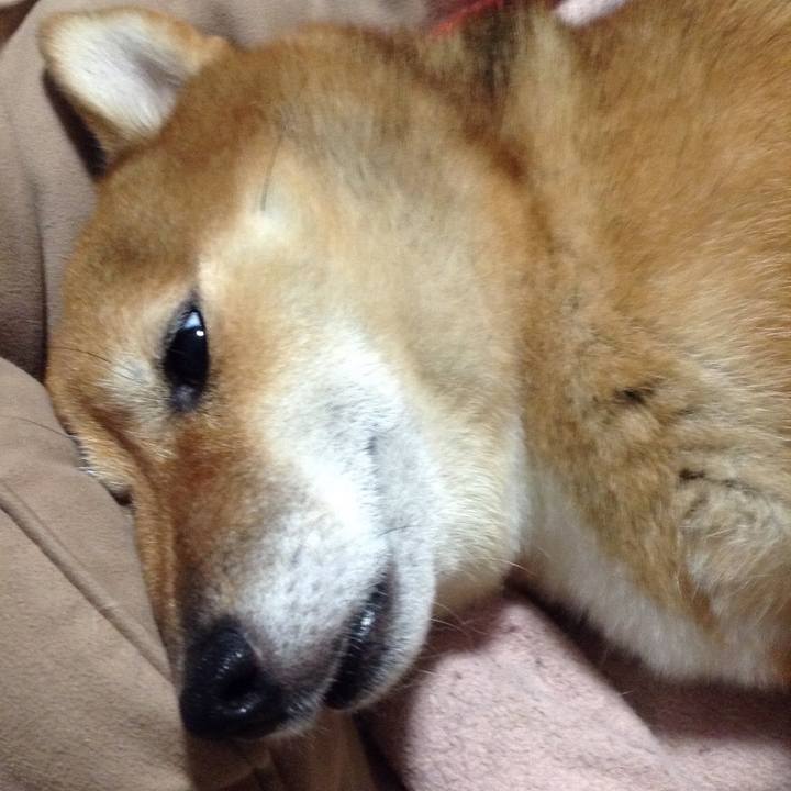 013421b2 b18f 445b a24c efda7a73feed