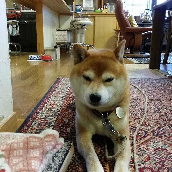 01342739 93c1 4c8c 870e a9f7cd9c992d