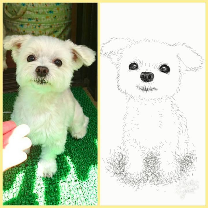 01345b33 40ba 40b6 81e8 d4fa9391774f