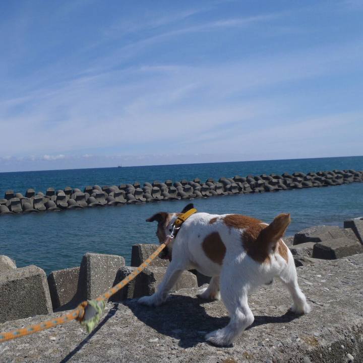 01349a2f f091 4e64 a2ae 6fa24b0f6a69