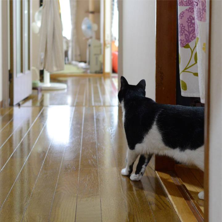 0134b751 264b 4959 a20c 2e443d1cb155