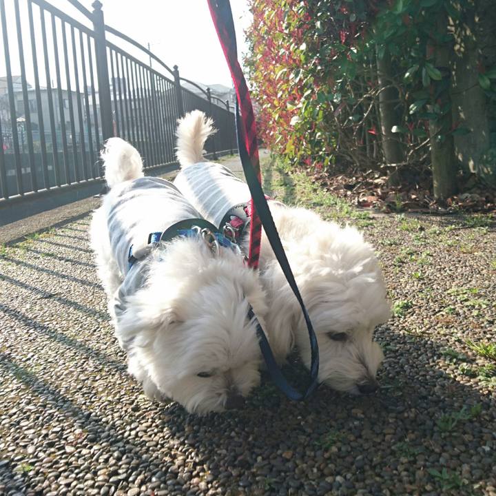 0134c511 cf0a 4f36 b202 cd2871c321af