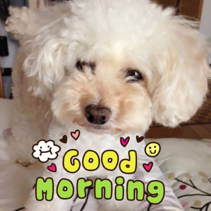 0134cbec 4c81 4a79 8f02 8f9e3a3cd292